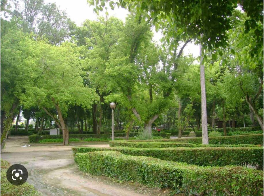 Easy Choice Home 科英布拉 外观 照片